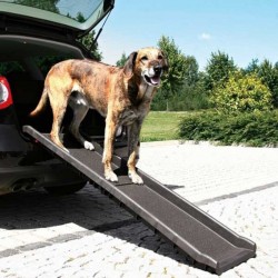 Transporter un chien en voiture : les accessoires