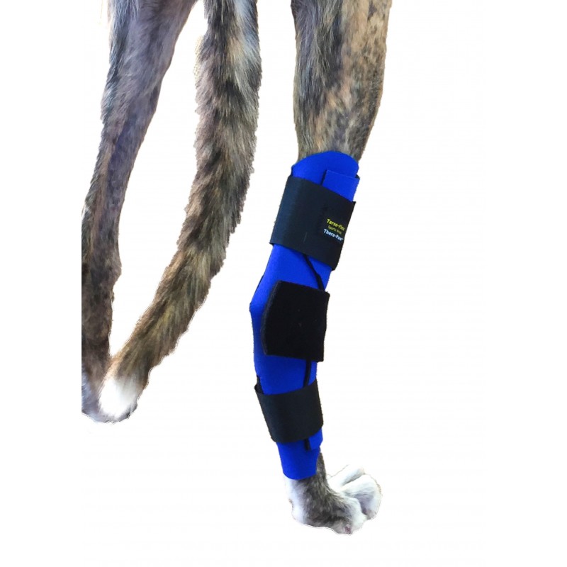 Mousse adhésive avec coton pour attelle chien handicapé - Mikan Vet