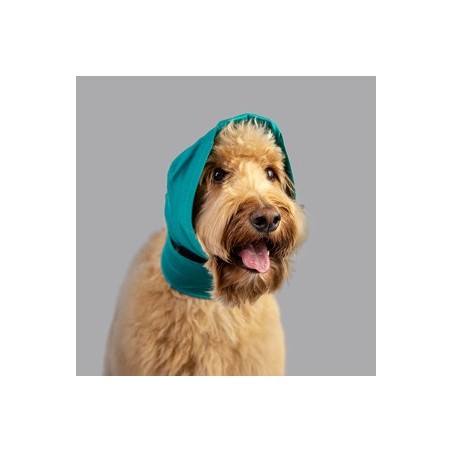 Balto Snood protection des oreilles pour chien 