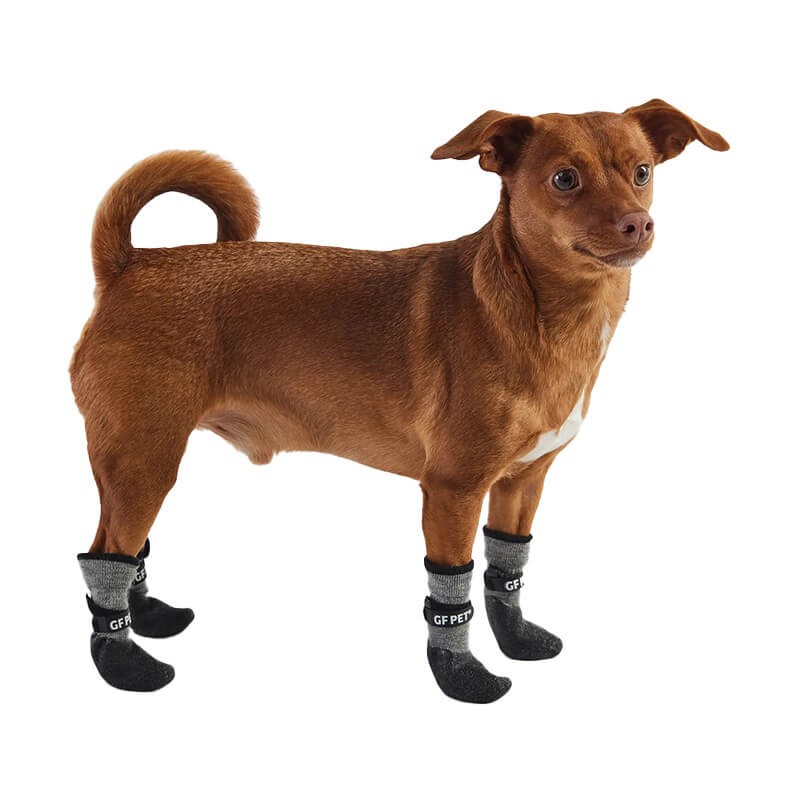 Deals chaussette pour chien animalis