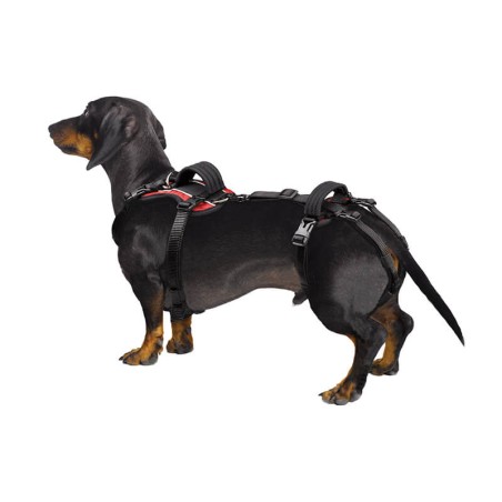 Harnais de portage résistant et ajustable pour tout le corps du chien help em up par mikan