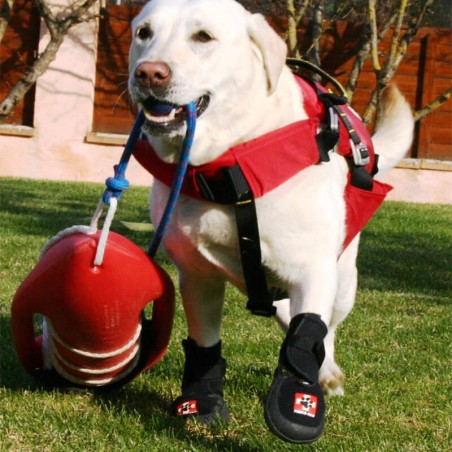 Bottines renforcées pour chien Thera-paw