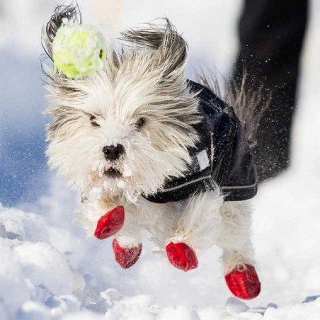 SNOWWY - Escalier pour animaux de compagnie - Rampe pour chien