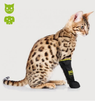 bottines protection chaussures chien chat