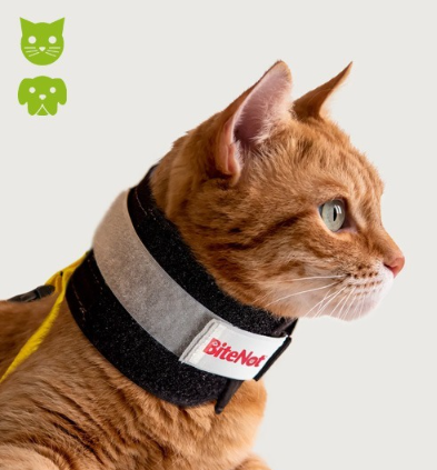 collier protection bitenot chien chat