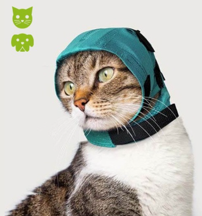protection tete snood chien chat
