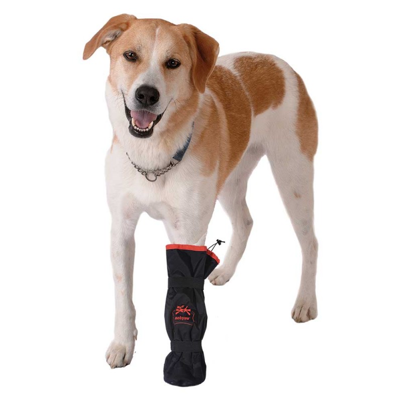 Snood pour chien anti-epillet bandana rouge - Un grand marché
